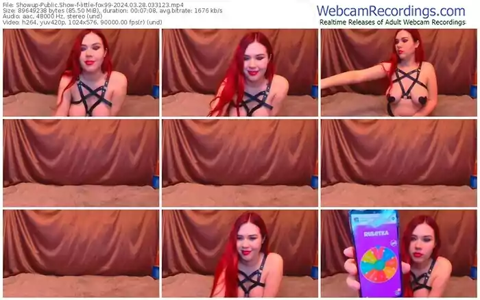 showup-little-fox99-03-28-2024-03-31-23