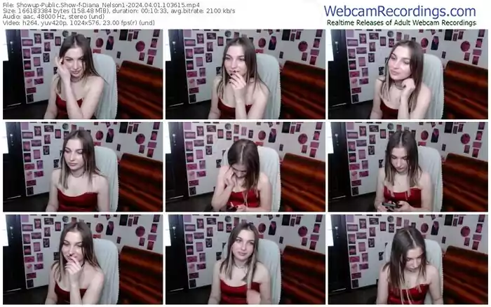 showup-diana_nelson1-04-01-2024-10-36-15