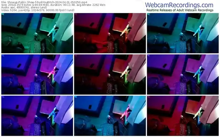 showup-fuckyoubitch-04-01-2024-05-02-50