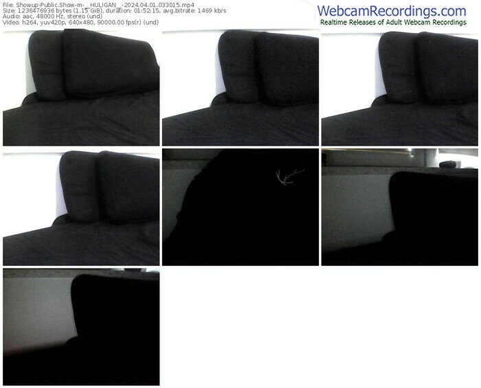 showup-__huligan__-04-01-2024-03-30-15