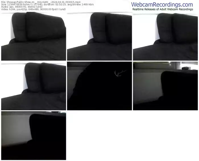 showup-__huligan__-04-01-2024-03-30-15