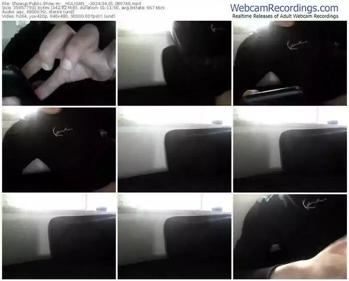 showup-__huligan__-04-01-2024-08-07-46