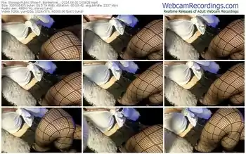 showup-_borderline__-04-02-2024-16-38-28