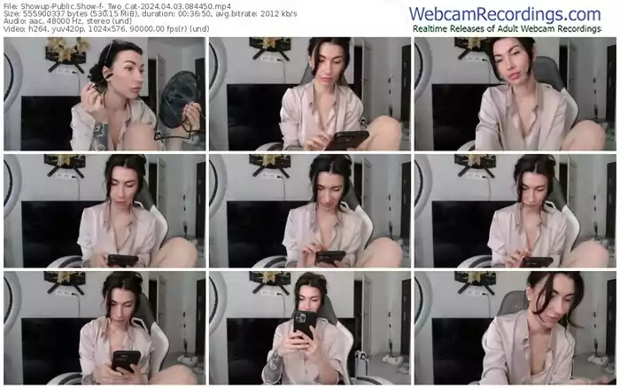 showup-_two_cat-04-03-2024-08-44-50
