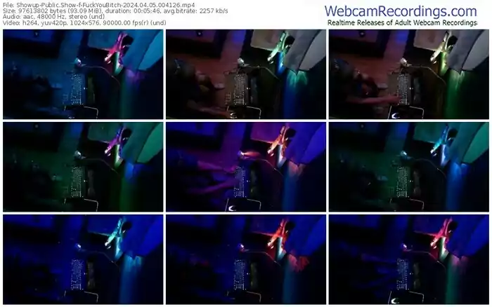 showup-fuckyoubitch-04-05-2024-00-41-26