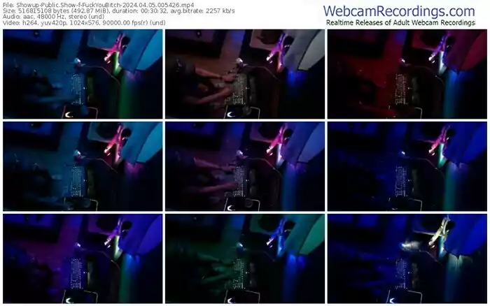 showup-fuckyoubitch-04-05-2024-00-54-26
