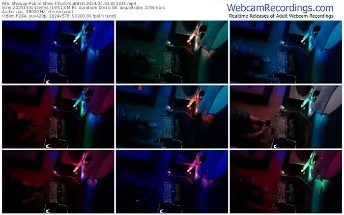 showup-fuckyoubitch-04-05-2024-01-33-31