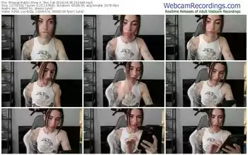 showup-_two_cat-04-06-2024-15-16-49