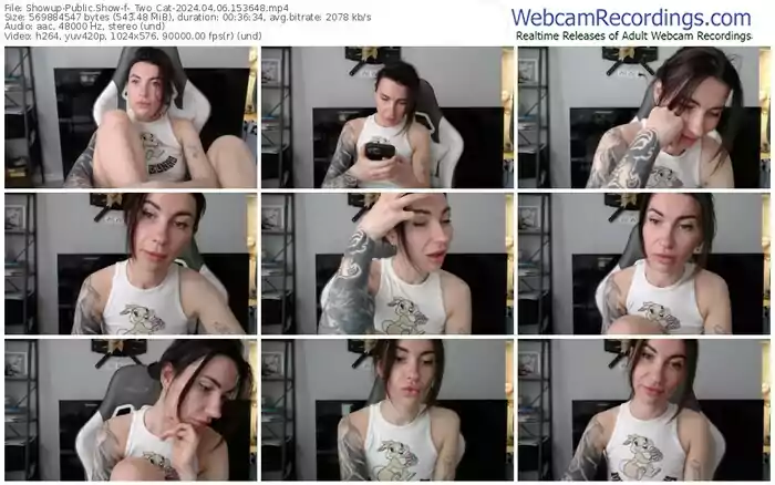 showup-_two_cat-04-06-2024-15-36-48