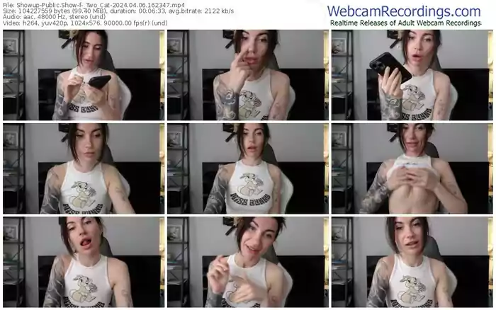 showup-_two_cat-04-06-2024-16-23-47