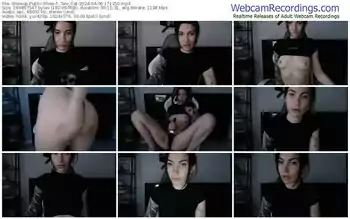 showup-_two_cat-04-06-2024-17-12-50