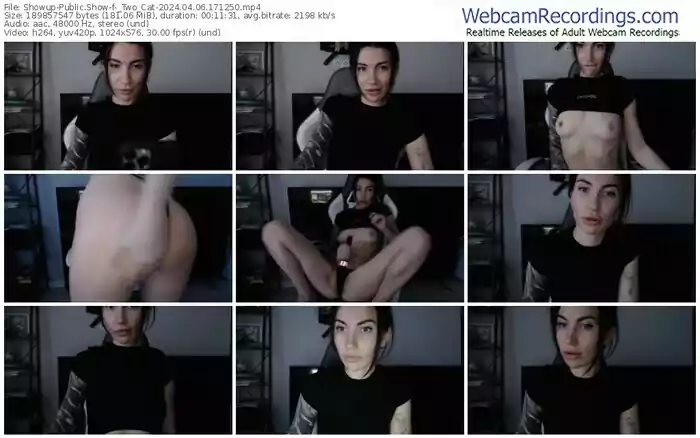 showup-_two_cat-04-06-2024-17-12-50