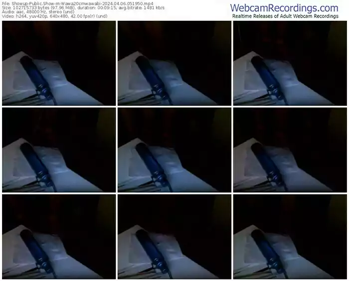 showup-wawa20cmwawabi-04-06-2024-05-19-50