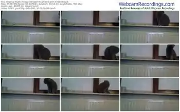 showup-dreamtits-04-07-2024-03-59-33