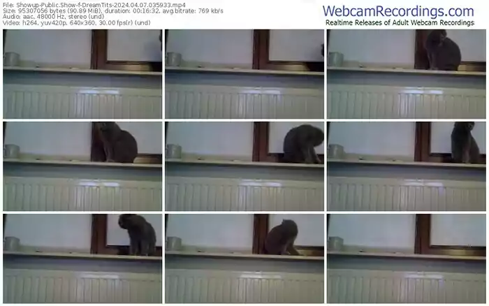 showup-dreamtits-04-07-2024-03-59-33