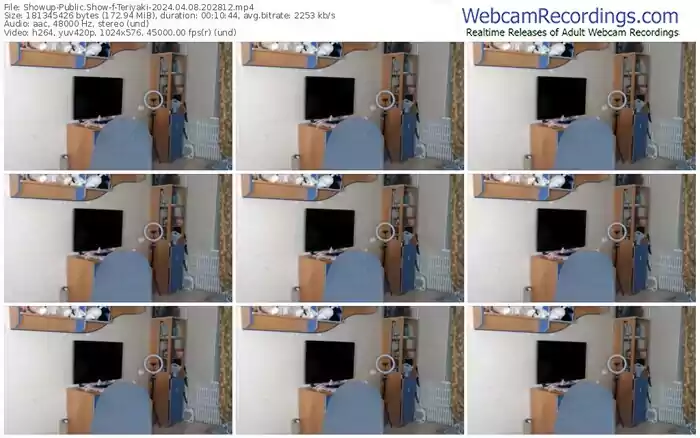 showup-teriyaki-04-08-2024-20-28-12