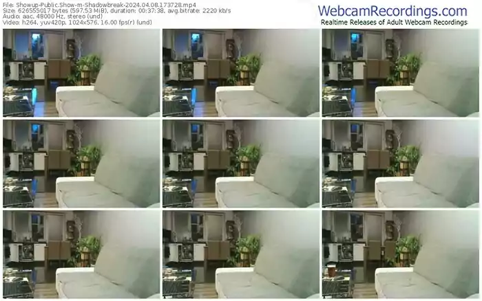 showup-shadowbreak-04-08-2024-17-37-28