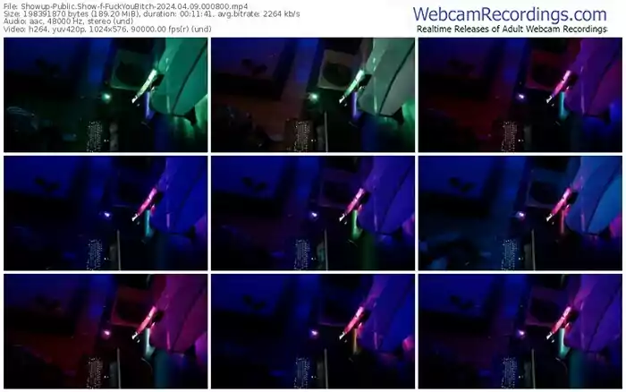 showup-fuckyoubitch-04-09-2024-00-08-00