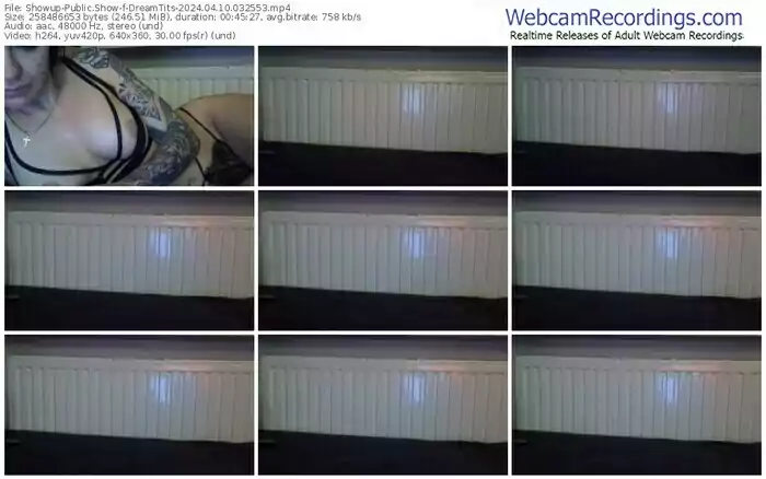 showup-dreamtits-04-10-2024-03-25-53