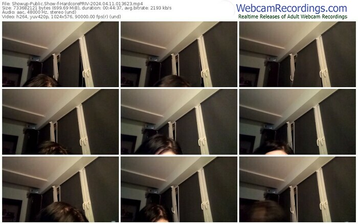 showup-hardcorepriv-04-11-2024-01-36-23