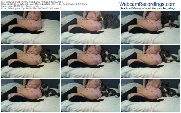 showup-sindi-04-11-2024-04-53-50