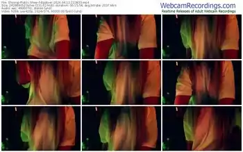 showup-egoever-04-12-2024-22-28-33