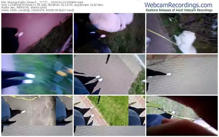 showup-__77777__-04-14-2024-03-08-44