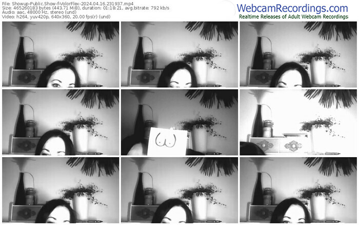 showup-volorflex-04-16-2024-23-19-37