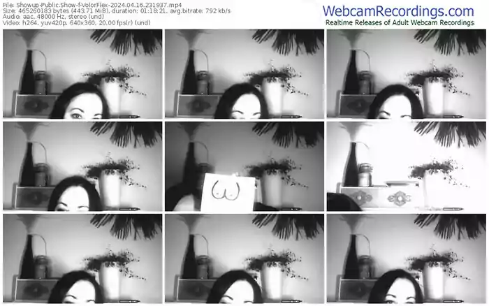 showup-volorflex-04-16-2024-23-19-37