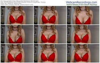 showup-remember-04-17-2024-00-19-42