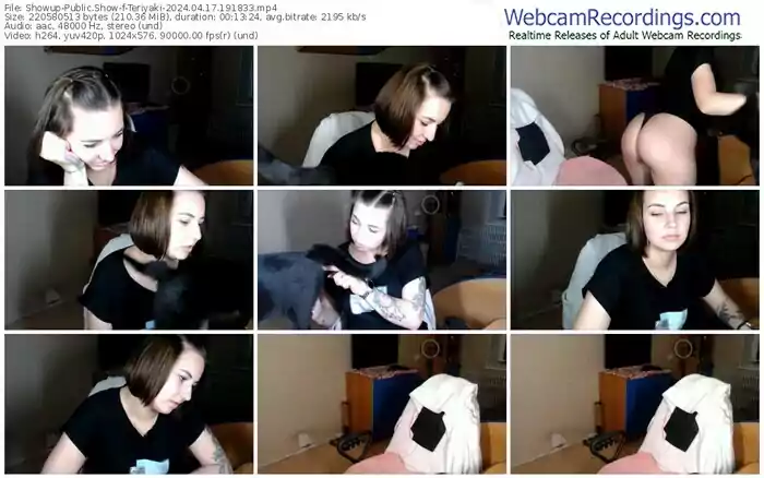 showup-teriyaki-04-17-2024-19-18-33