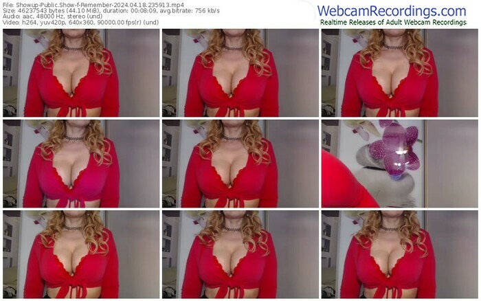 showup-remember-04-18-2024-23-59-13