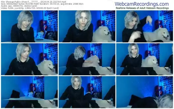 showup-__77777__-04-20-2024-23-27-44