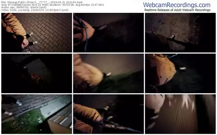 showup-__77777__-04-21-2024-22-21-43