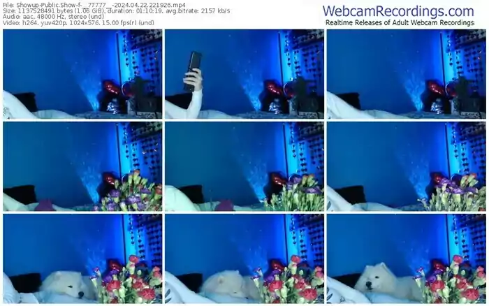 showup-__77777__-04-22-2024-22-19-26
