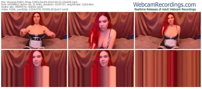 showup-little-fox99-04-23-2024-23-44-28