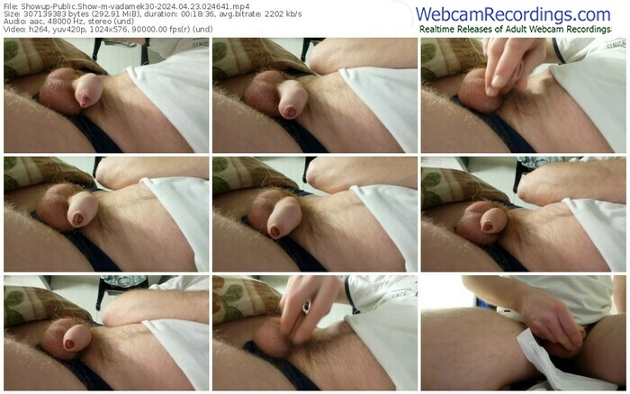 showup-vadamek30-04-23-2024-02-46-41