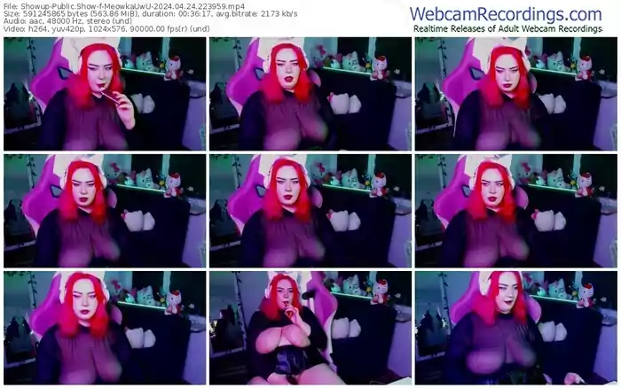 showup-meowkauwu-04-24-2024-22-39-59