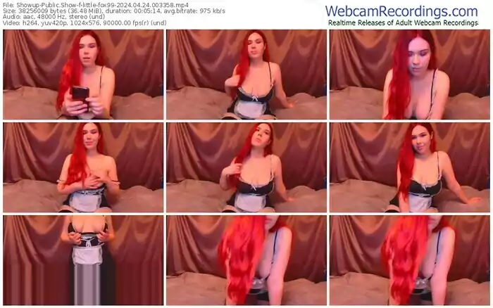 showup-little-fox99-04-24-2024-00-33-58