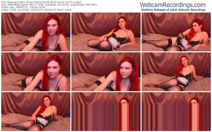 showup-little-fox99-04-24-2024-01-07-14