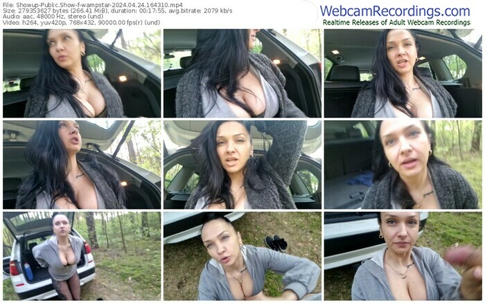 showup-wampstar-04-24-2024-16-43-10