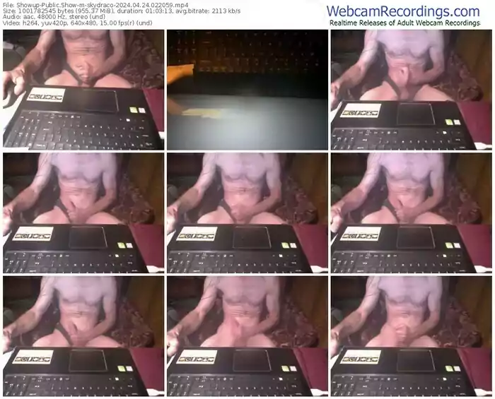 showup-skydraco-04-24-2024-02-20-59