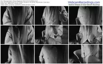 showup-egoever-04-26-2024-03-53-02