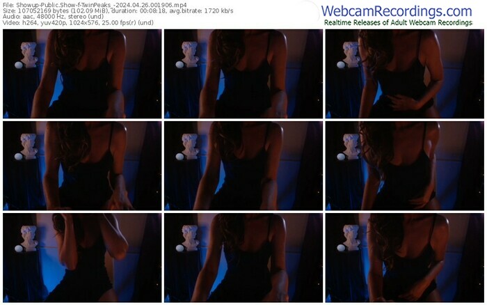showup-twinpeaks_-04-26-2024-00-19-06