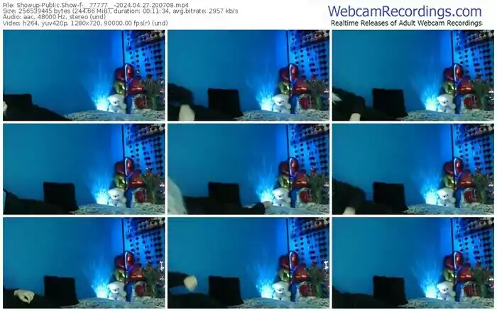 showup-__77777__-04-27-2024-20-07-08