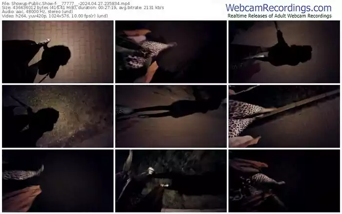 showup-__77777__-04-27-2024-23-58-34