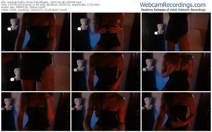 showup-twinpeaks_-04-28-2024-19-55-08