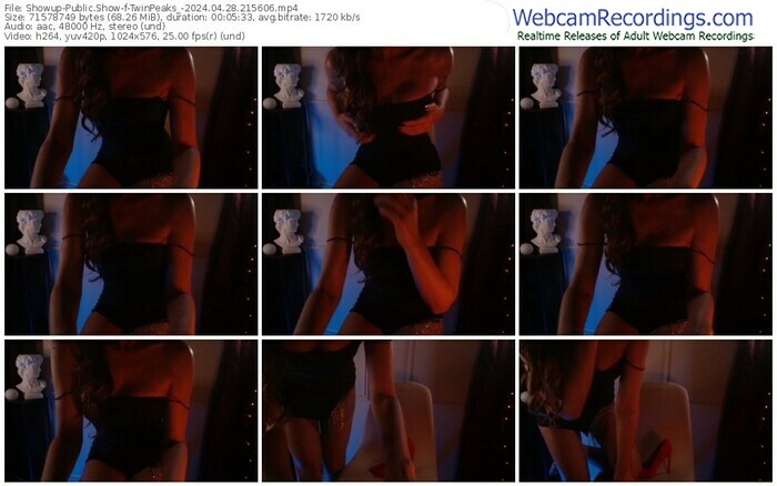 showup-twinpeaks_-04-28-2024-21-56-06