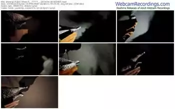 showup-__77777__-04-28-2024-00-34-55