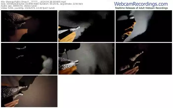 showup-__77777__-04-28-2024-00-34-55